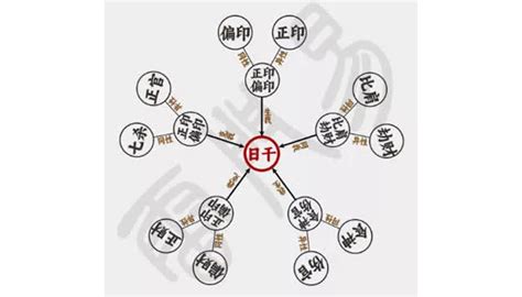 我生為食傷|命理基礎知識梳理06：十神定位，六親關系、事業財祿。